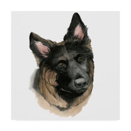 Trademark Fine Art Grace Popp 'Humans Best Friend Ii' Canvas Art, 14x14 WAG06332-C1414GG